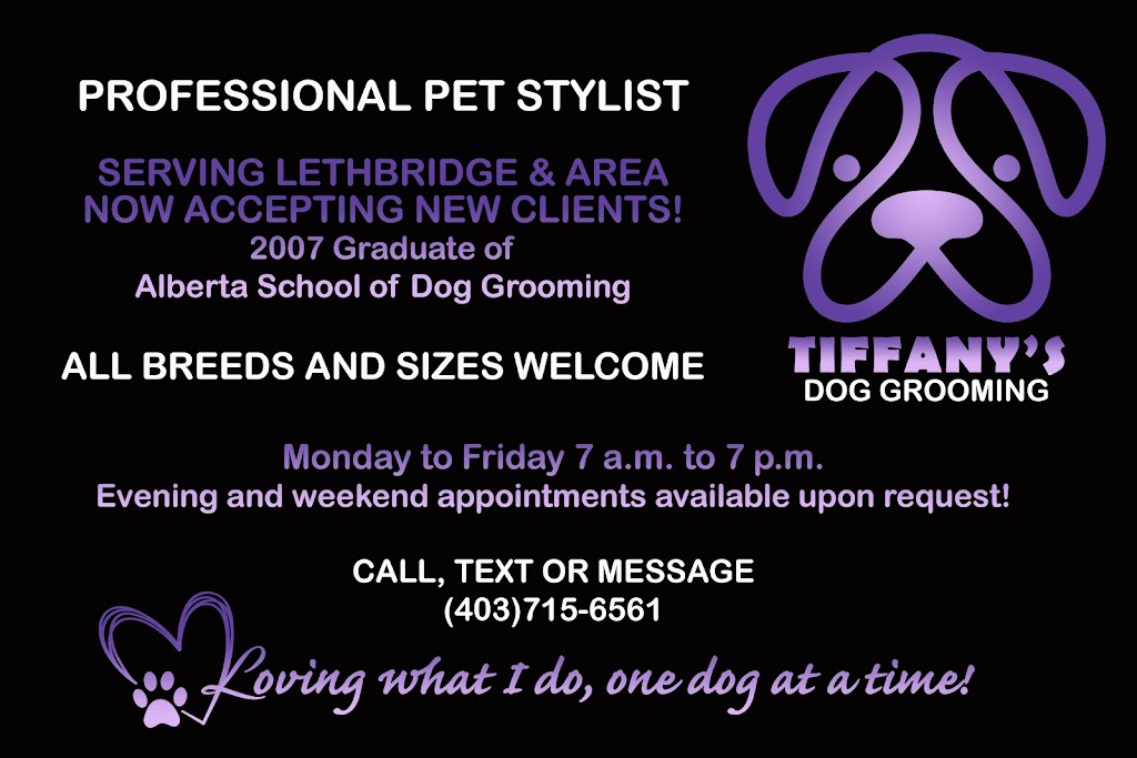 Tiffanys Dog Grooming | 93001 Range Rd 211, Lethbridge, AB T1J 5P3, Canada | Phone: (403) 715-6561