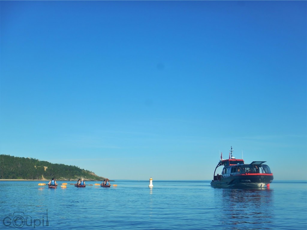 Tadoussac Autrement - Kayak de mer | 145 Rue du Bord de lEau, Tadoussac, QC G0T 2A0, Canada | Phone: (418) 355-4305