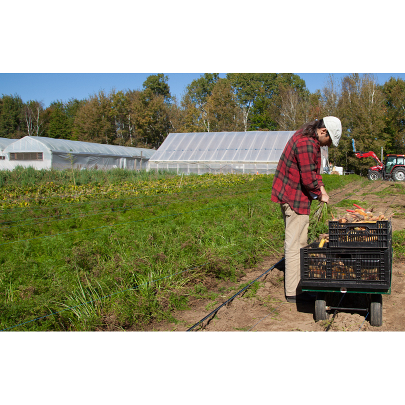 Ferme Pays Vert | 1640 3 Concession, Quyon, QC J0X 2V0, Canada | Phone: (819) 593-1144