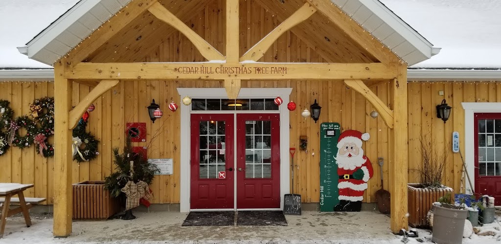 Cedar Hill Christmas Tree Farm | 951 8 Th Conc South, Pakenham, ON K0A 2X0, Canada | Phone: (613) 256-3029