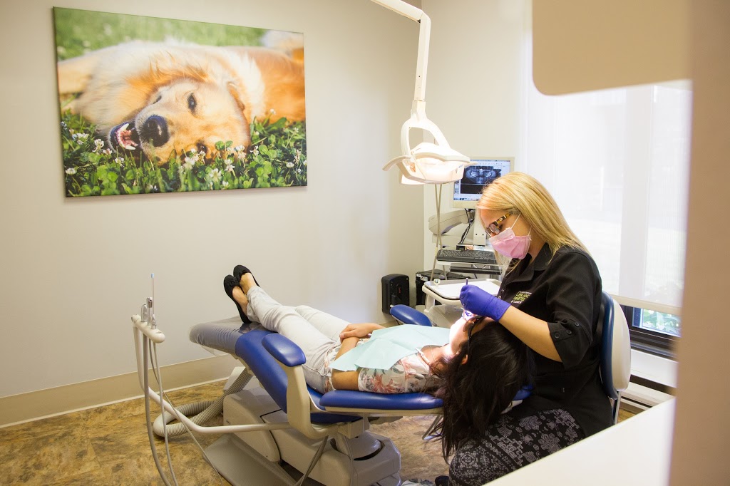 Leblanc Martel & Associates Dental Clinic | 1311 Boulevard Fréchette, Chambly, QC J3L 2Y9, Canada | Phone: (450) 658-4331