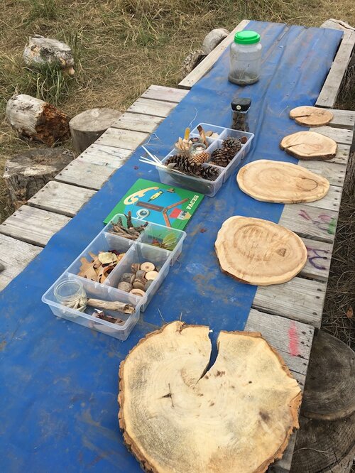 Calgary Nature Kindergarten Rosemont/Confederation Park | 2807 10 St NW, Calgary, AB T2K 1H2, Canada | Phone: (587) 576-8733