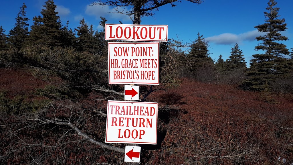 Pirates Path Trail | Mosquito Hill, Harbour Grace, NL A0A 2M0, Canada