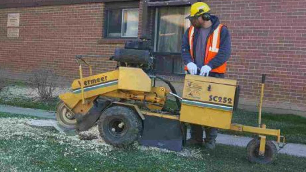 Easy Stump Removal | 10 Strollers Ln, Cheltenham, ON L7C 2B1, Canada | Phone: (905) 749-0905