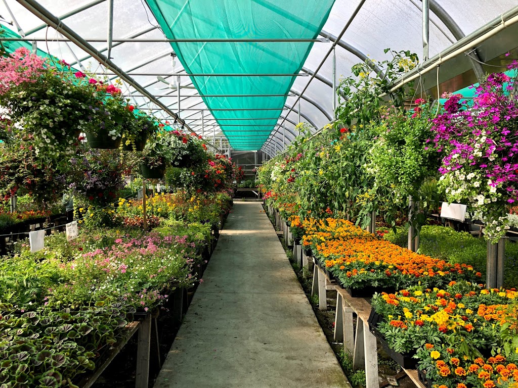 Jennys Garden Centre | 4888 Marine Dr, Burnaby, BC V5J 3G6, Canada | Phone: (604) 438-8867