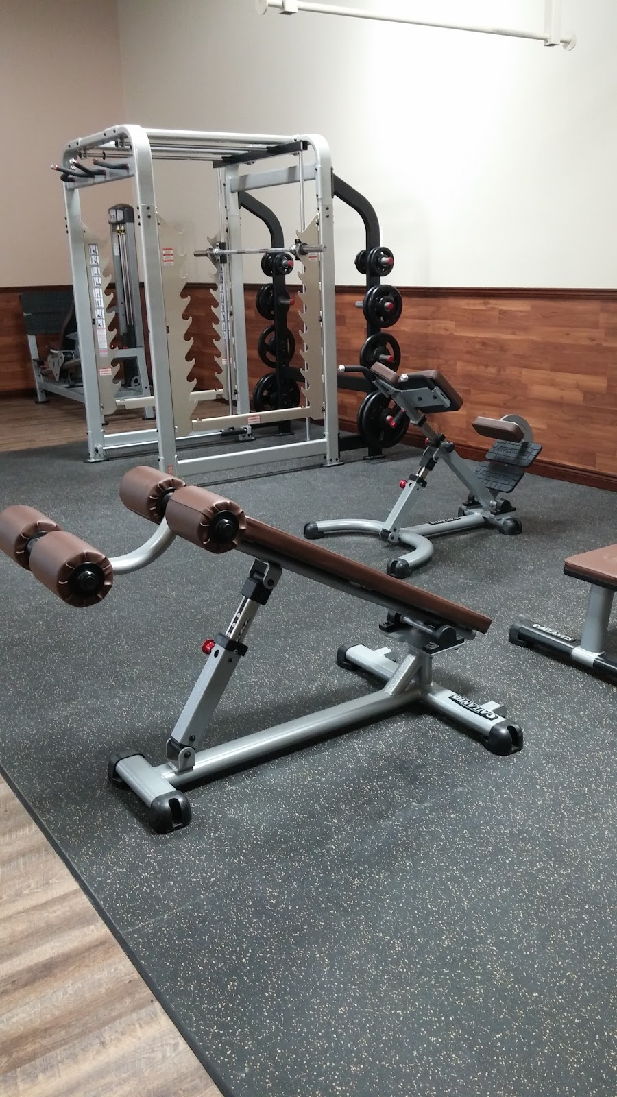 Gym At The Plex | 370 Argyle St S, Caledonia, ON N3W 2N2, Canada | Phone: (289) 960-0734