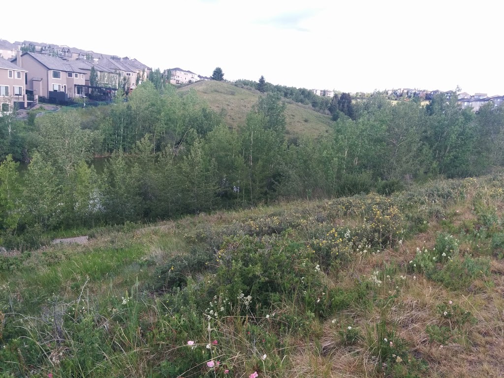 Sarina Pond | 166 R Royal Ridge Mt NW, Calgary, AB T3G 0A2, Canada