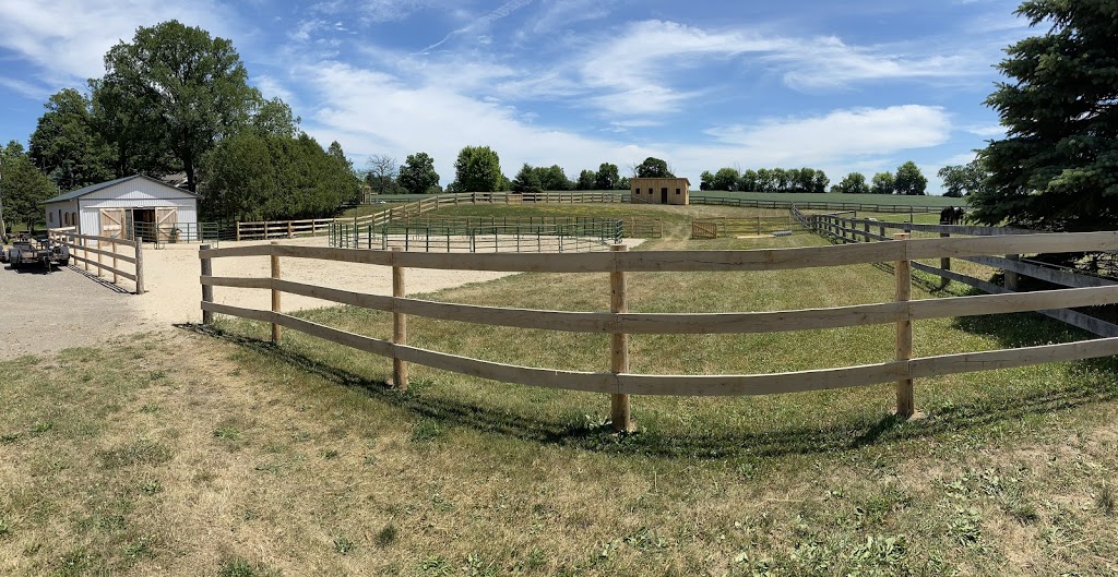 Snowy River Stables | 273 W River Rd, Paris, ON N3L 3E2, Canada | Phone: (519) 504-5484