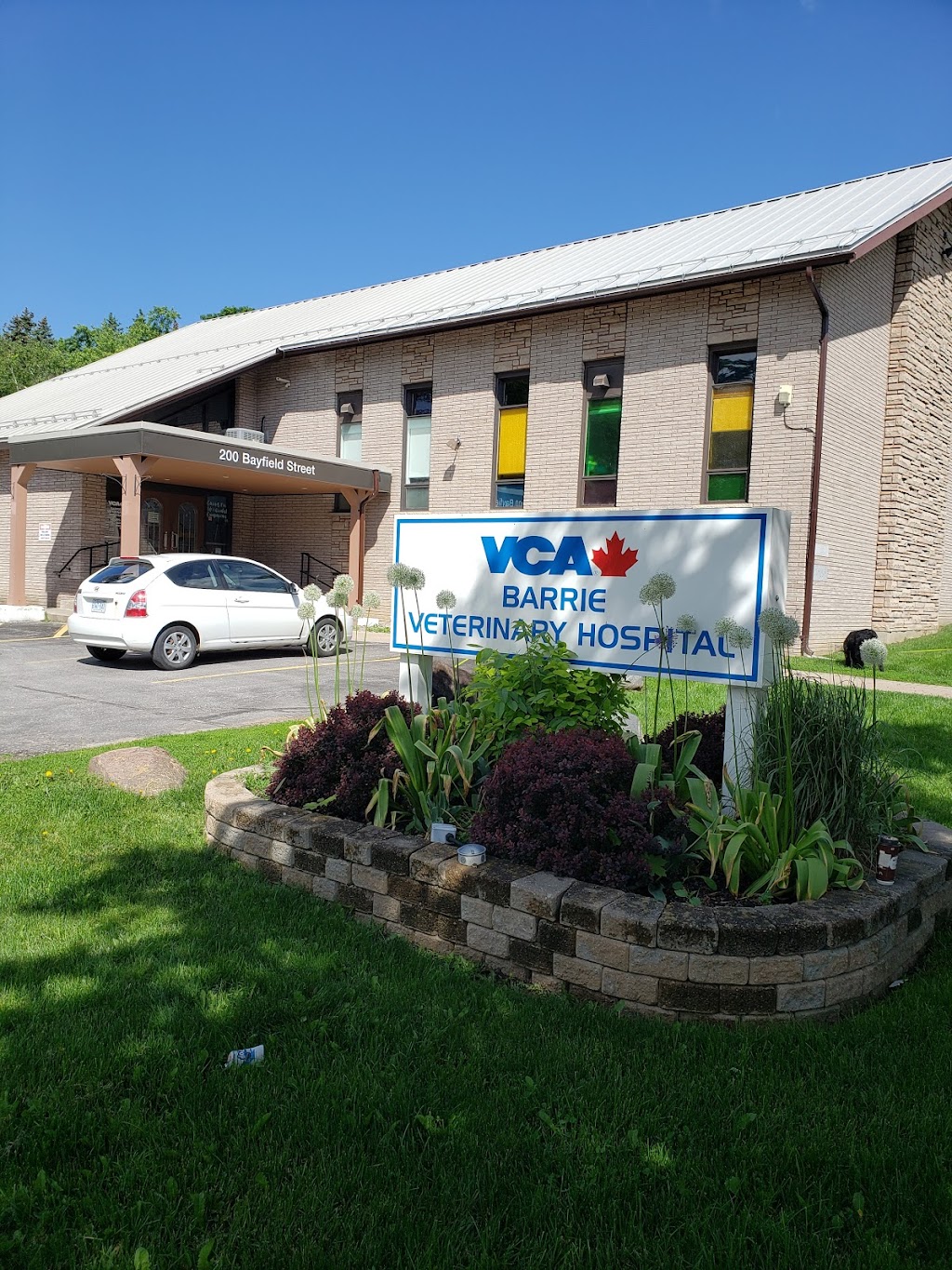 VCA Canada Barrie Veterinary Hospital | 200 Bayfield St, Barrie, ON L4M 3B6, Canada | Phone: (705) 728-4545