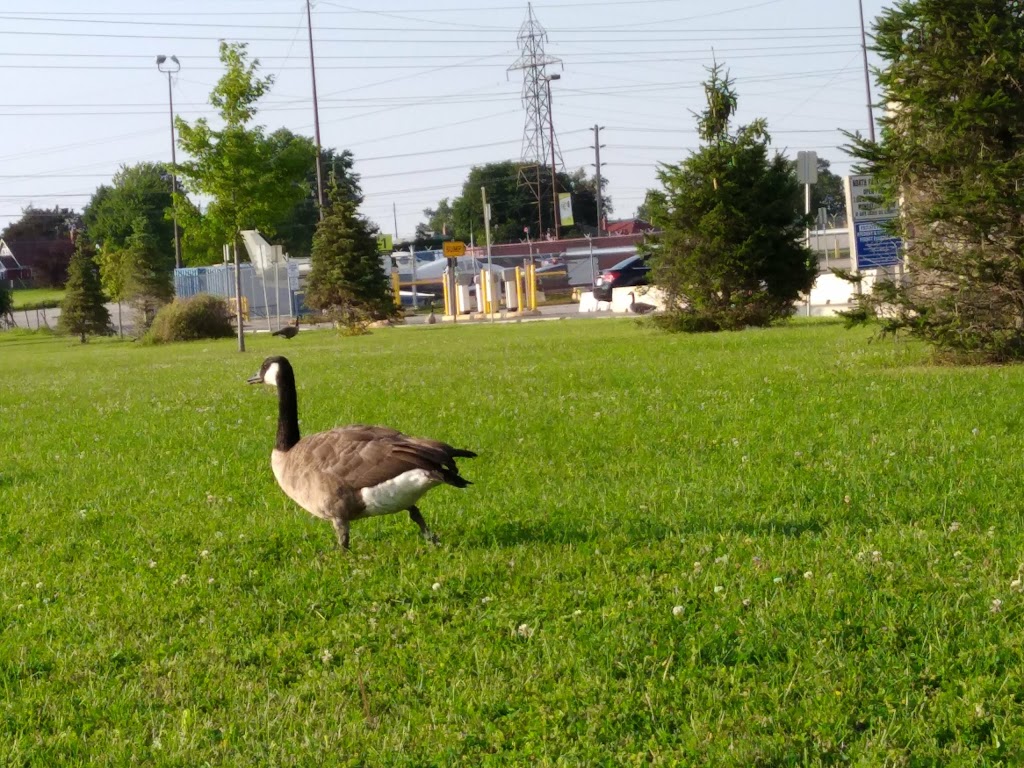 Ashtonbee Reservoir Park | 10 Ashtonbee Rd, Scarborough, ON M1L 3K9, Canada