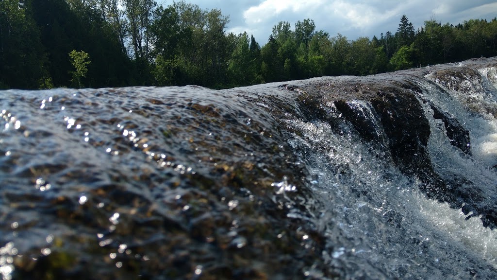 Parc Pont Rouge | 67 Boul Notre Dame #27, Pont-Rouge, QC G3H 3K4, Canada