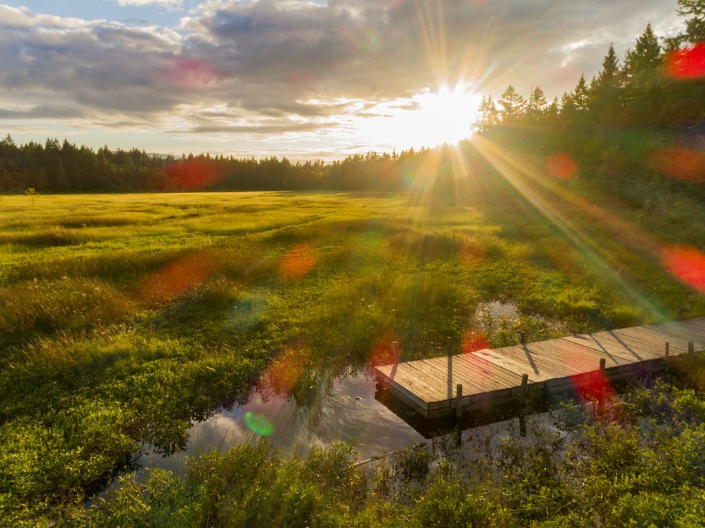 Arrowsmith Aerial Photography | 498 Menzies Ridge Dr, Nanaimo, BC V9R 0C4, Canada | Phone: (250) 797-6420