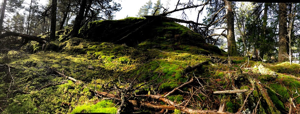 Mossy Outcrop | Bowen Island, BC V0N 1G2, Canada