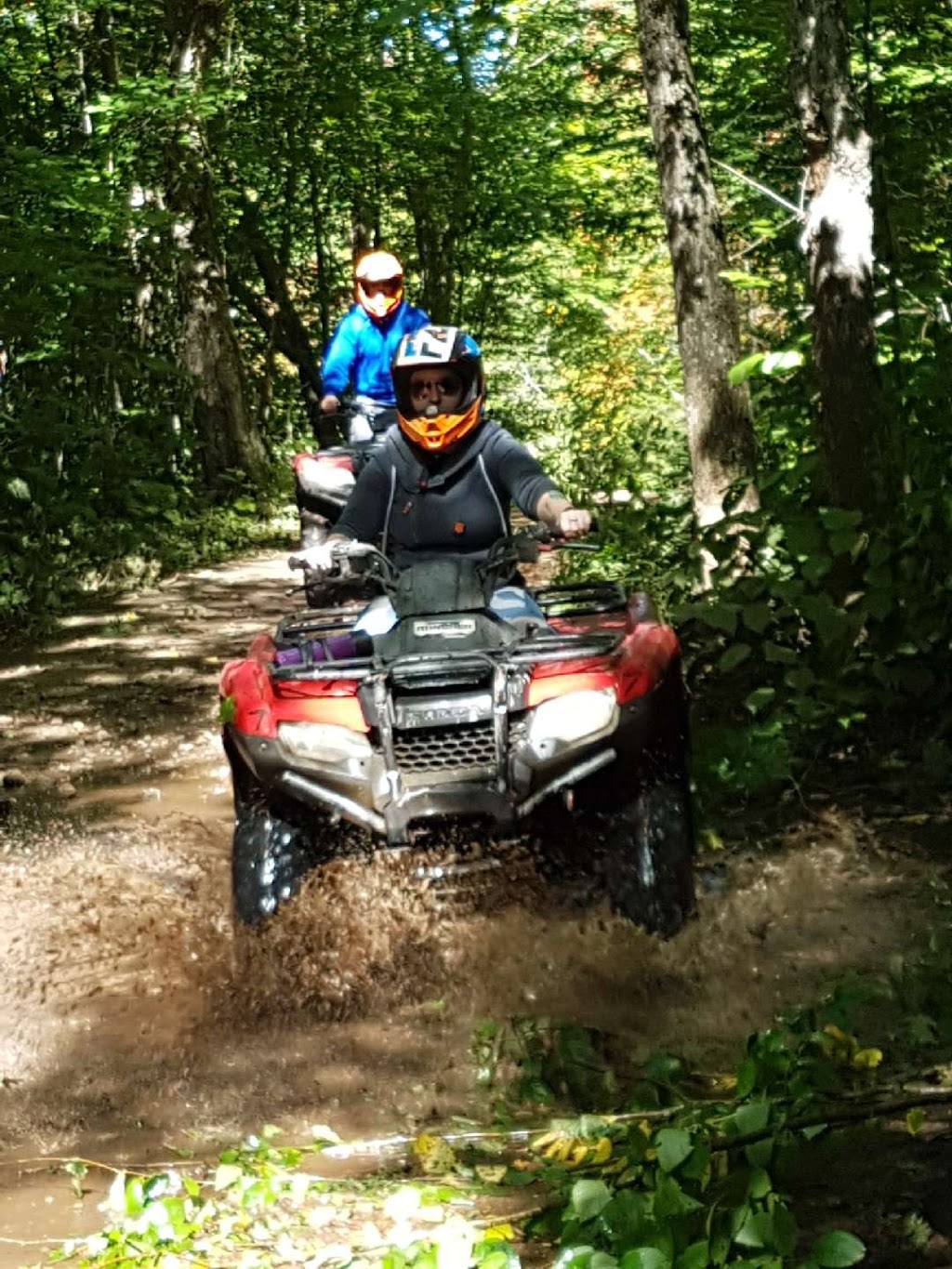 Back Country Tours Inc. | 48 Highland St, Haliburton, ON K0M 1S0, Canada