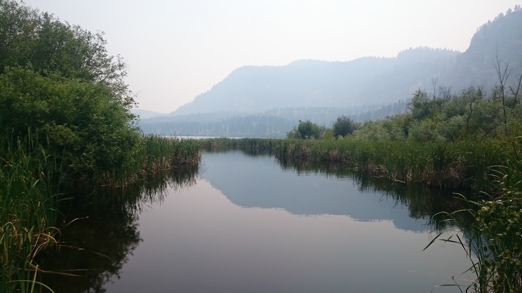 Vaseux Lake Bird Sanctuary | Okanagan Falls, BC V0H 1R0, Canada