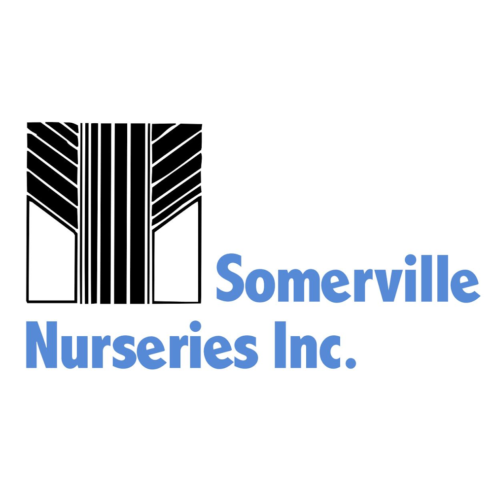 Somerville Nurseries Inc. | 5884 County Rd 13, Everett, ON L0M 1J0, Canada | Phone: (705) 435-6258