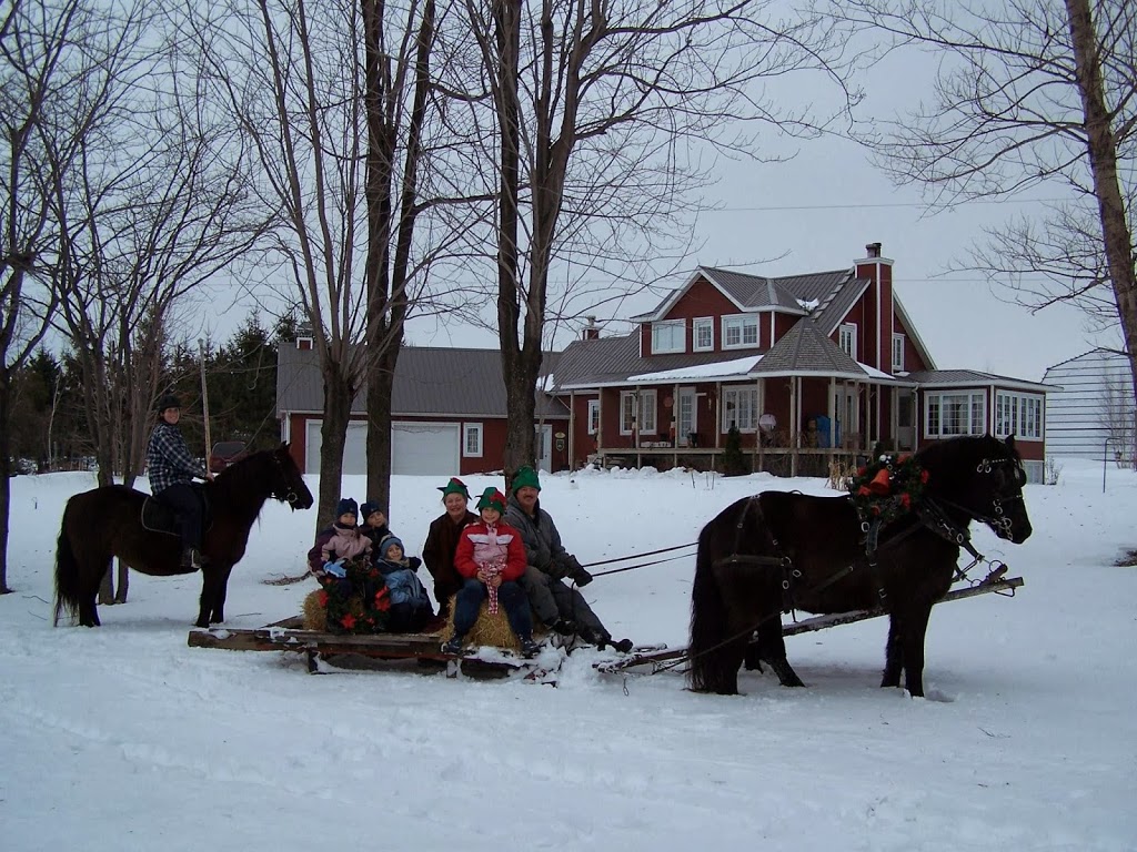 Écurie Kanadian | 923 4e Rang O, Saint-Simon-de-Bagot, QC J0H 1Y0, Canada | Phone: (514) 953-0673