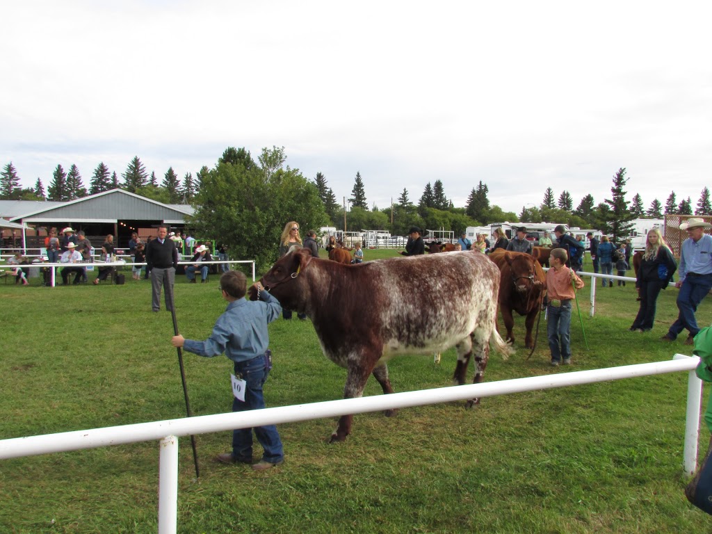 Prospect Hill Shorthorns | Township Rd 430, Meeting Creek, AB T0B 2Z0, Canada | Phone: (780) 877-2444