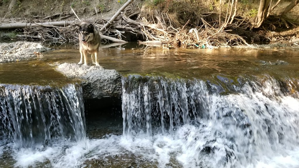 Etobicoke Creek Offleash Dog Park | South of Dundas, Southcreek Rd, Mississauga, ON L4X 1L9, Canada