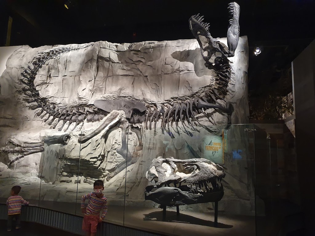 Royal Tyrrell Museum | 1500 N Dinosaur Trail, Drumheller, AB T0J 0Y0, Canada | Phone: (403) 823-7707