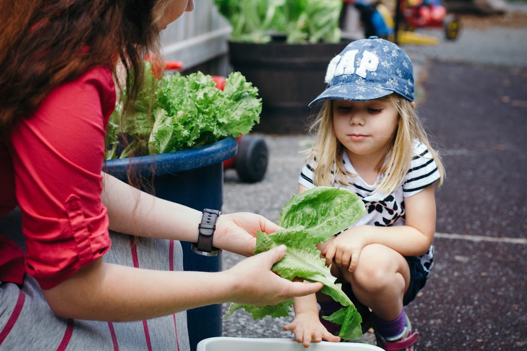 Green Apple Kids | 3605 Dundas St W, York, ON M6S 2T1, Canada | Phone: (416) 570-6096