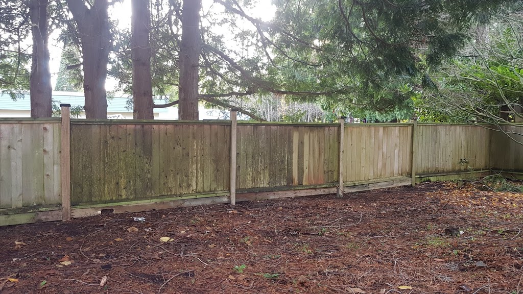 Ladner cedar fencing | 4550 Edmonds Dr, Delta, BC V4K 1M9, Canada | Phone: (604) 720-1782