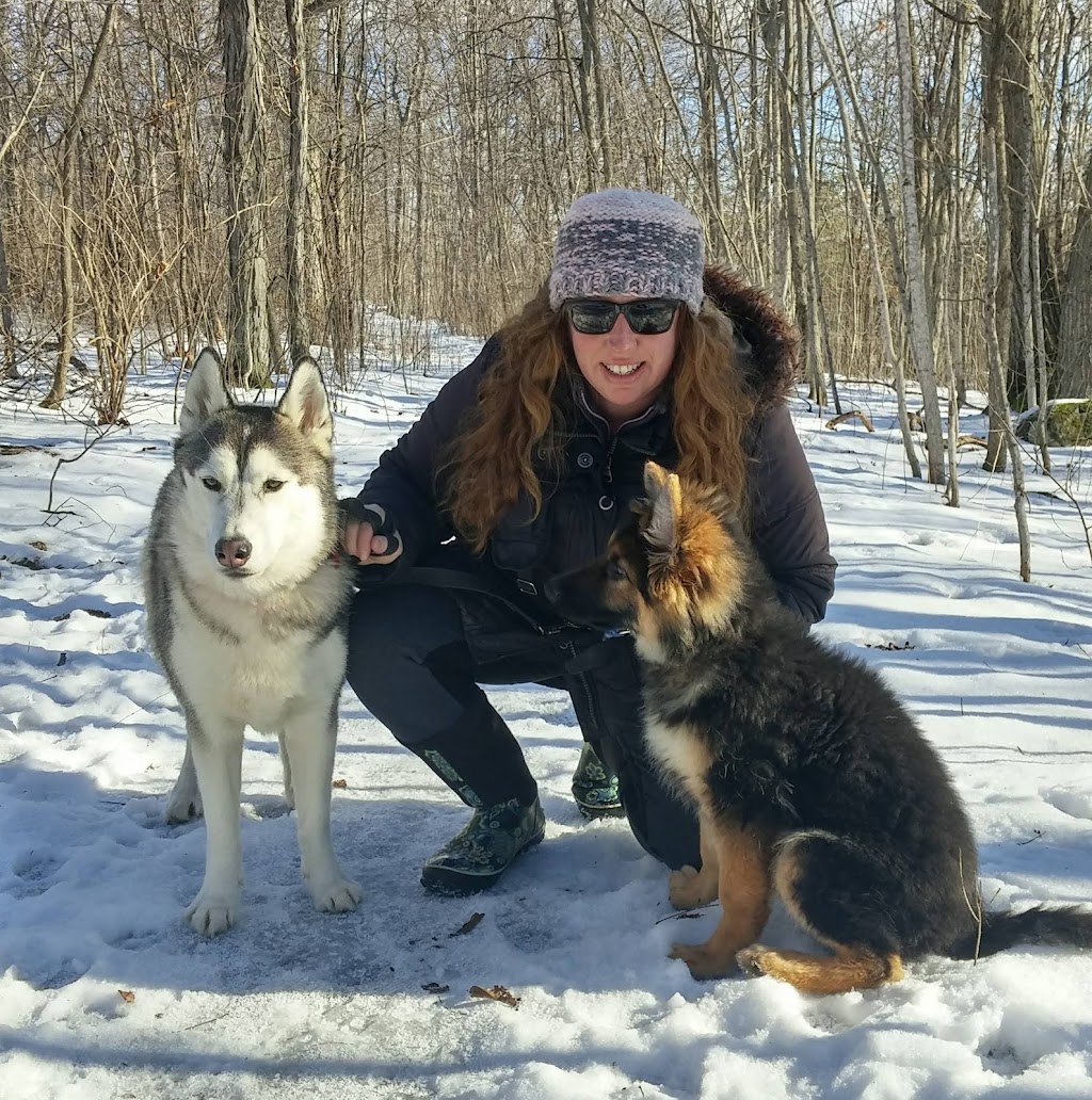 Cold Creek Dog Training Canada | 555 Rankin Crescent, Kingston, ON K7M 7K6, Canada | Phone: (613) 214-0217