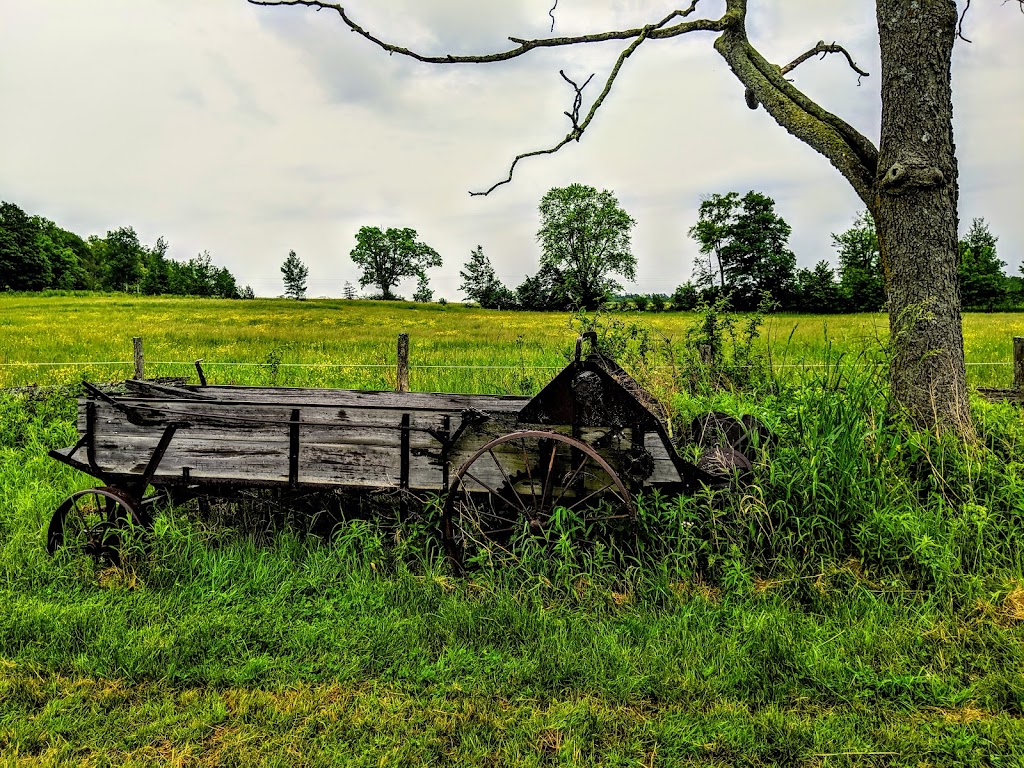 Escape Maze | 156 Cedar Bank Rd, Peterborough, ON K9J 6Y3, Canada | Phone: (705) 740-3657