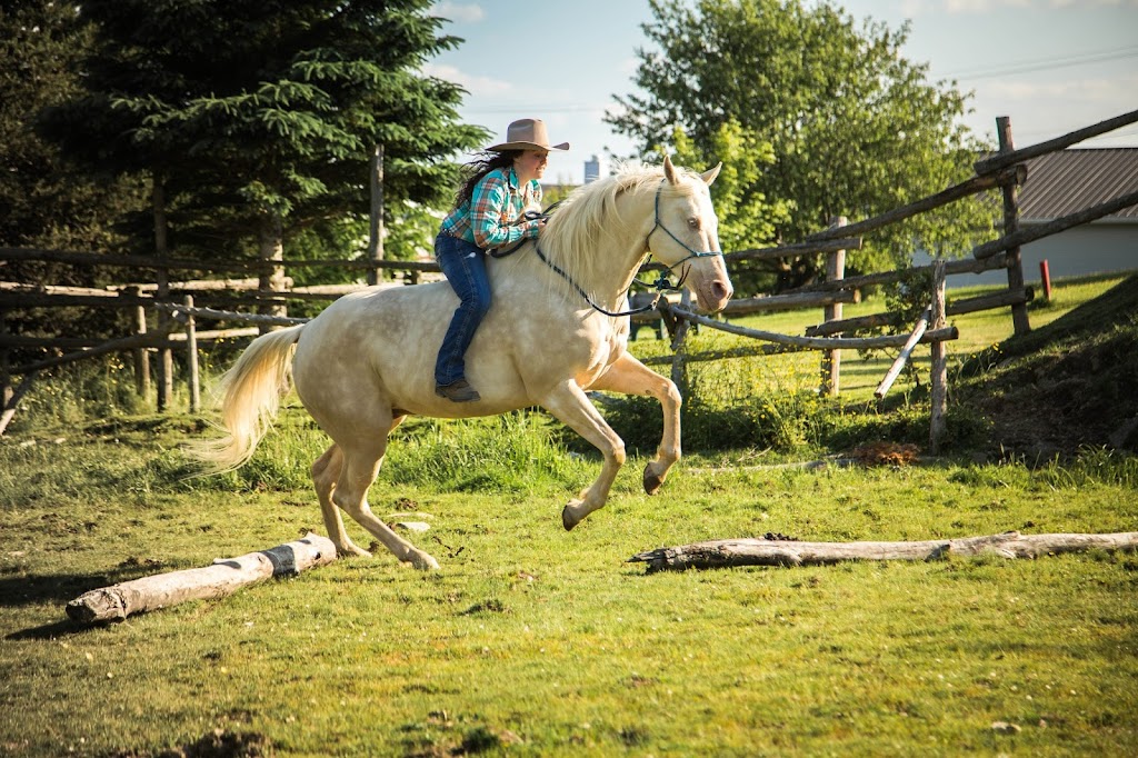 DG Horsemanship | 324 Rang Sainte-Marie, Saint-Alfred, QC G0M 1L0, Canada | Phone: (418) 957-3298