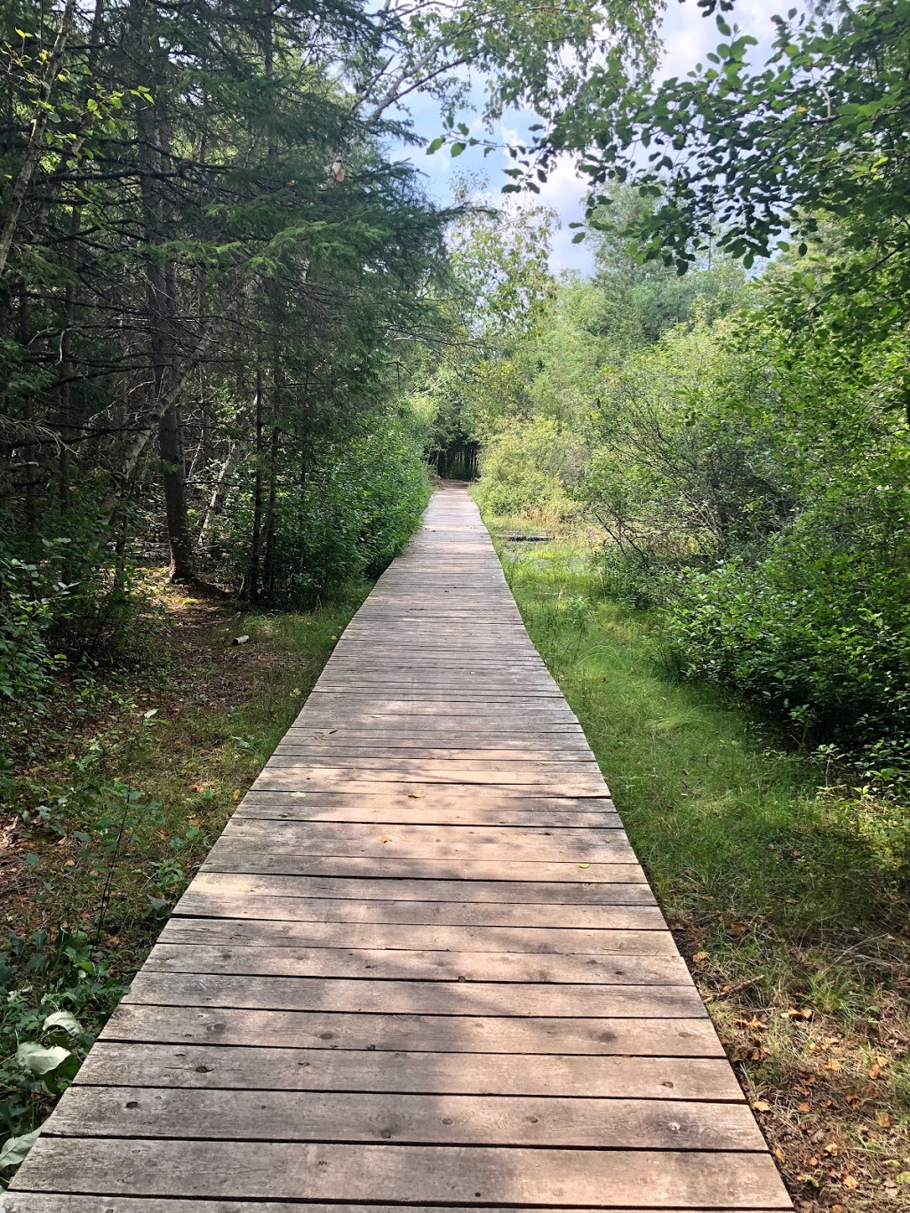 Old Quarry Trail | Eagleson Rd, Kanata, ON K2M 1A9, Canada