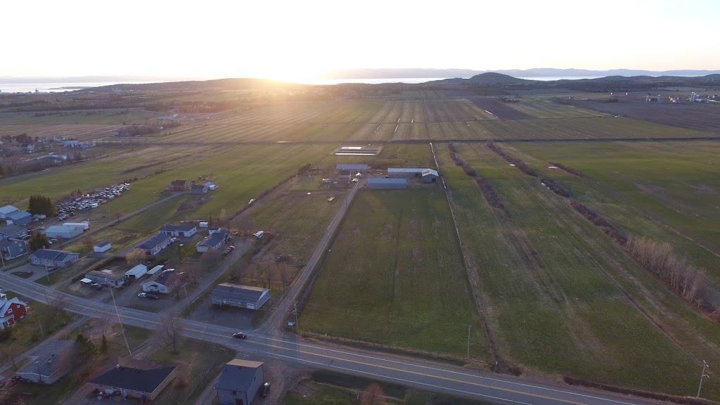 Ferme yannick St-Pierre | 311 Rue Principale Est, Sainte-Hélène-de-Kamouraska, QC G0L 3J0, Canada | Phone: (418) 551-4491