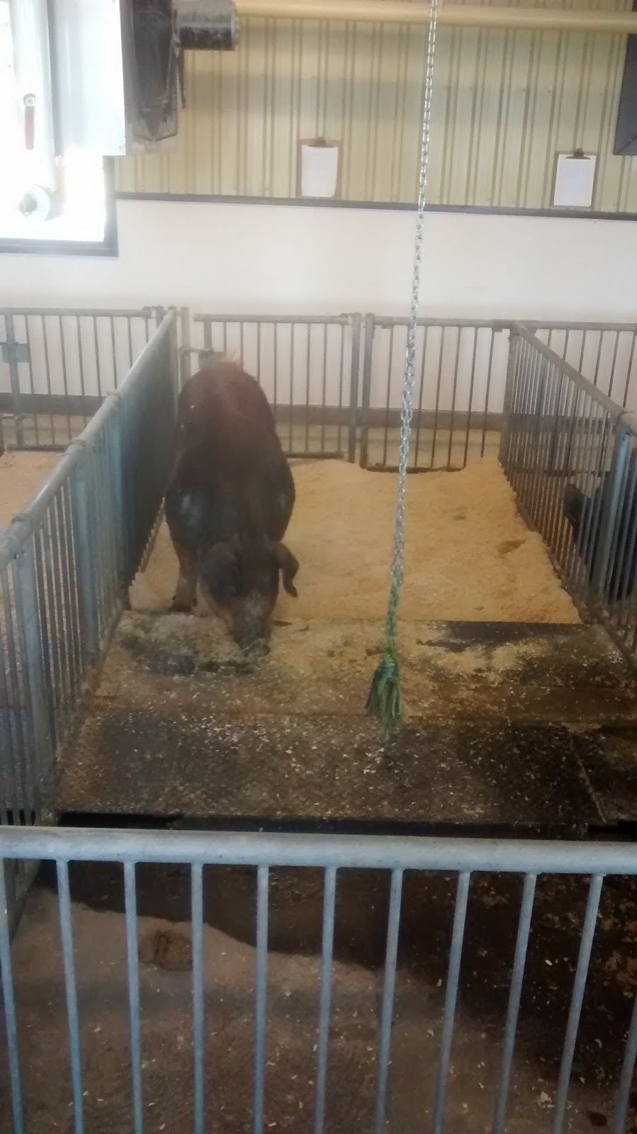 Small Animal Barn | Ottawa, ON K2C, Canada | Phone: (613) 991-3044