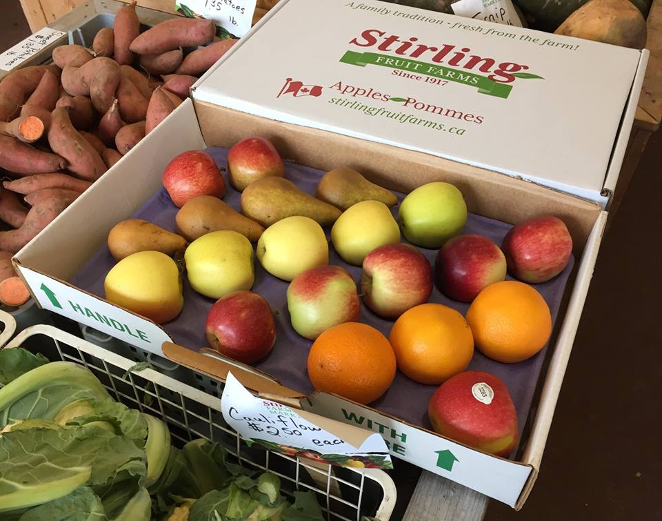 Stirlings Farm Market (Moncton) | 840 Shediac Rd, Moncton, NB E1A 5X1, Canada | Phone: (506) 856-8281