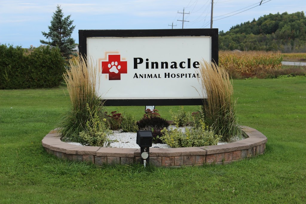 Pinnacle Animal Hospital | 1767 ON-60 RR3, Renfrew, ON K7V 3Z6, Canada | Phone: (613) 433-3100