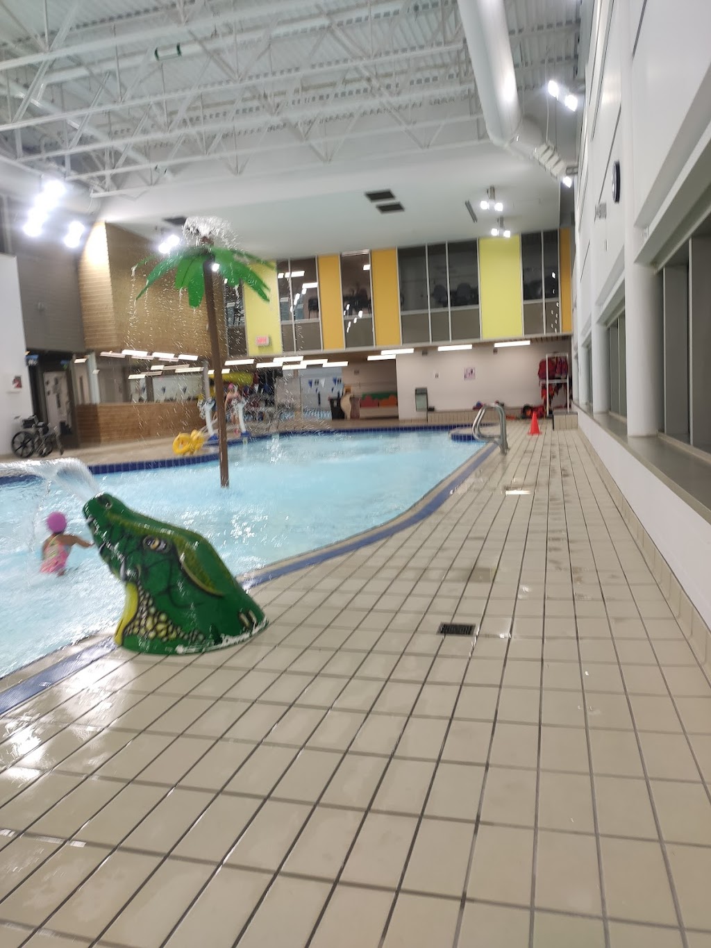 Piscine Annie-Pelletier | 8850 Av. Dubuisson, Montréal, QC H1L 2W6, Canada | Phone: (514) 280-2664