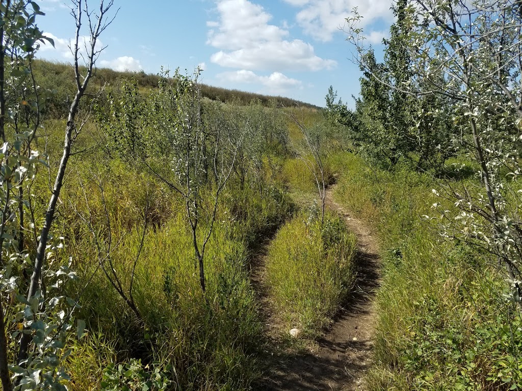 Dog Park | Southeast Calgary, Calgary, AB T0L 0X0, Canada