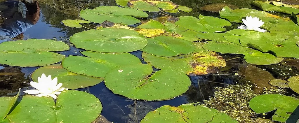 Woods Creek Kayak Launch | Grand Island, NY 14072, USA