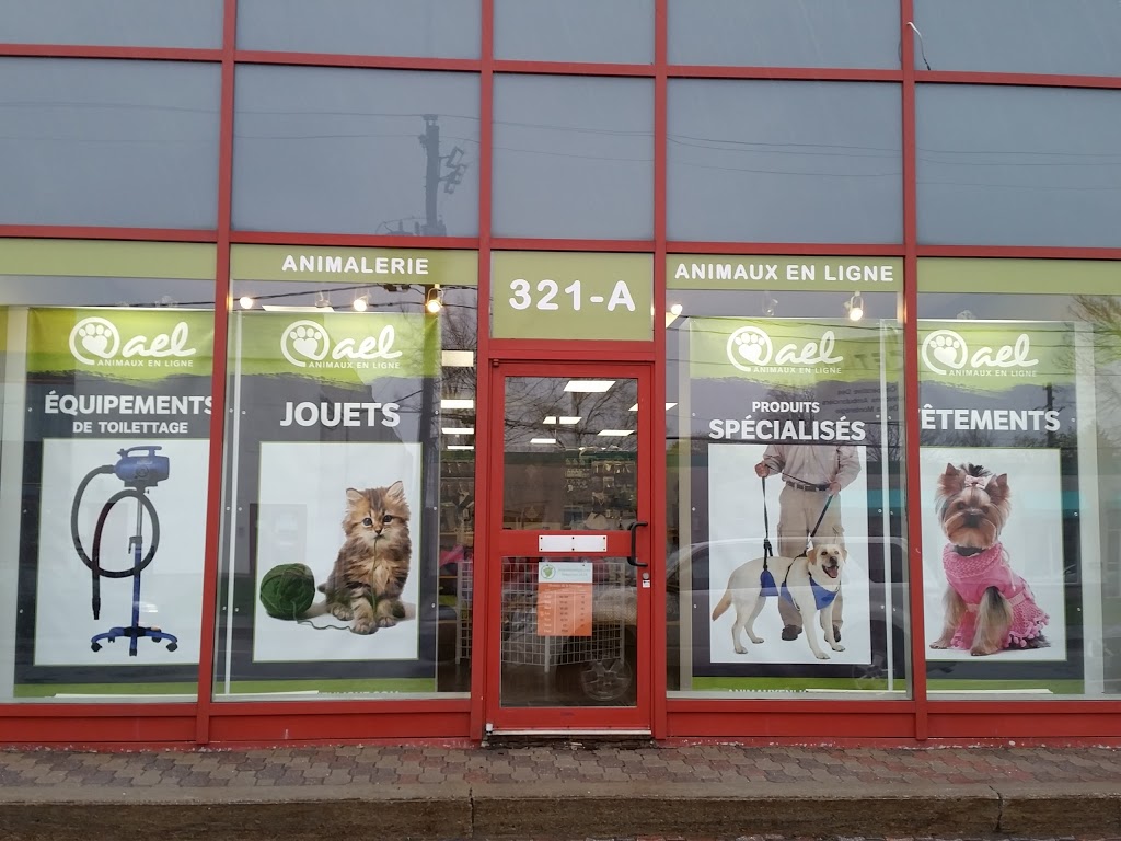 Pets online | 321-A Rue Lawrence, Greenfield Park, QC J4V 2Z5, Canada | Phone: (866) 964-6289