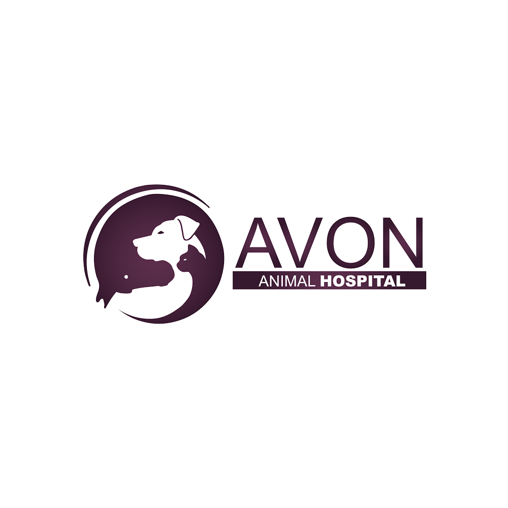 Avon Animal Hospital Mount Uniacke | 16 James Boyle Dr W, Mount Uniacke, NS B0N 1Z0, Canada | Phone: (902) 866-4633