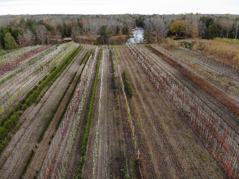 Everest Nurseries (Wholesale only at this location) | 470 Bruce County Rd 8, Wiarton, ON N0H 2T0, Canada | Phone: (519) 935-3186