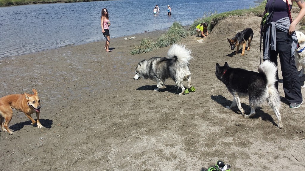 Maple Ridge Dyke Dog Park | 3080 Trans Canada Trail, Maple Ridge, BC V4R 2R9, Canada