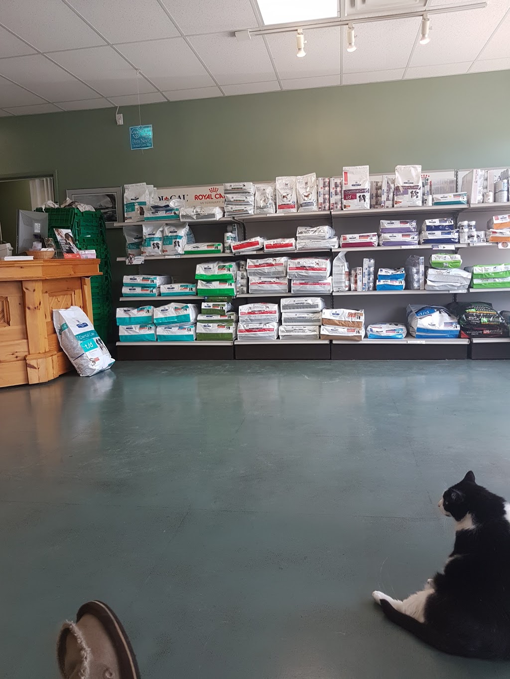 Brights Grove Animal Hospital | 2684 Lakeshore Rd, Brights Grove, ON N0N 1C0, Canada | Phone: (519) 869-4228