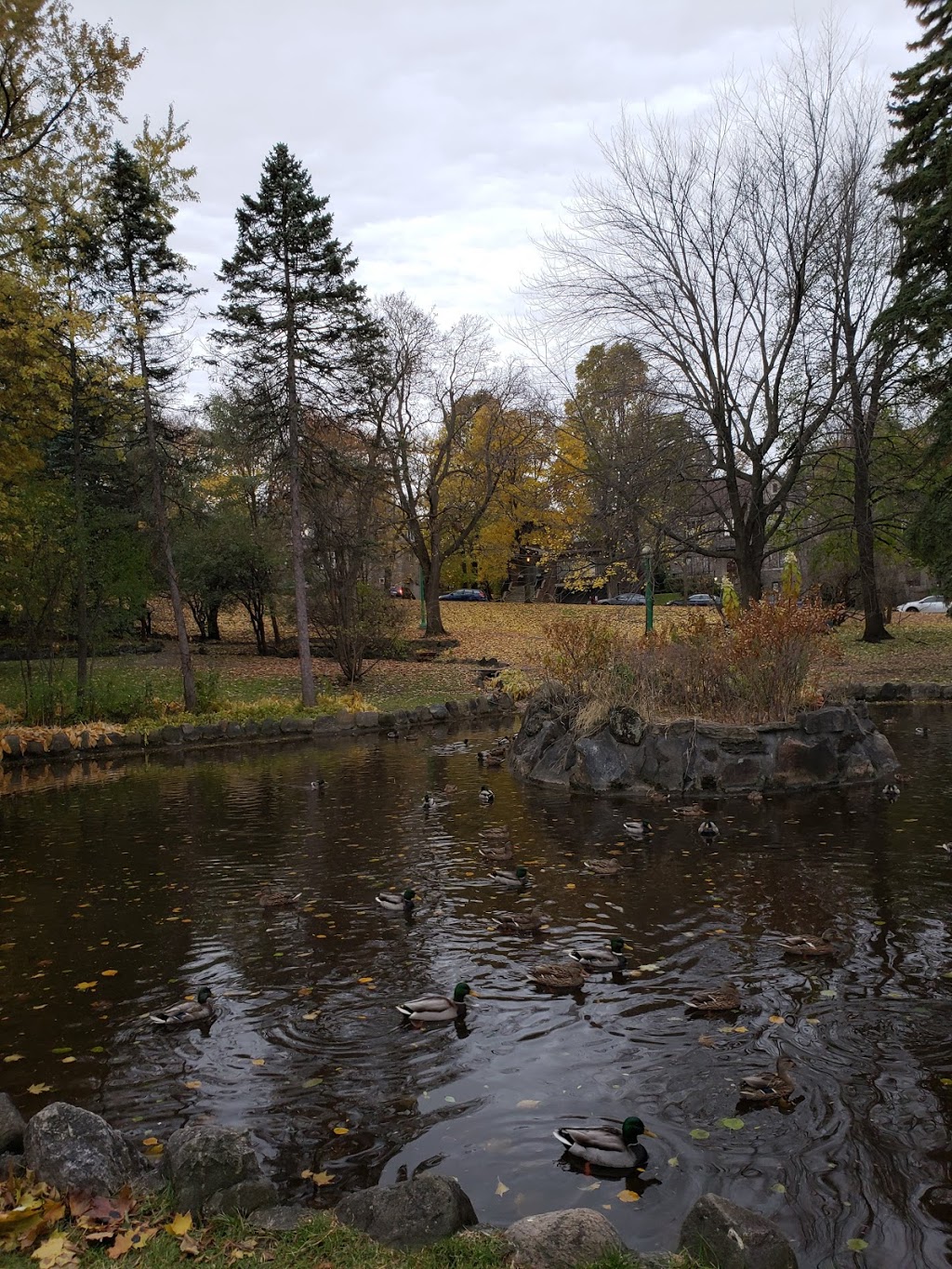 Pratt Park | 795 Avenue Dunlop, Montréal, QC H2V 2W5, Canada