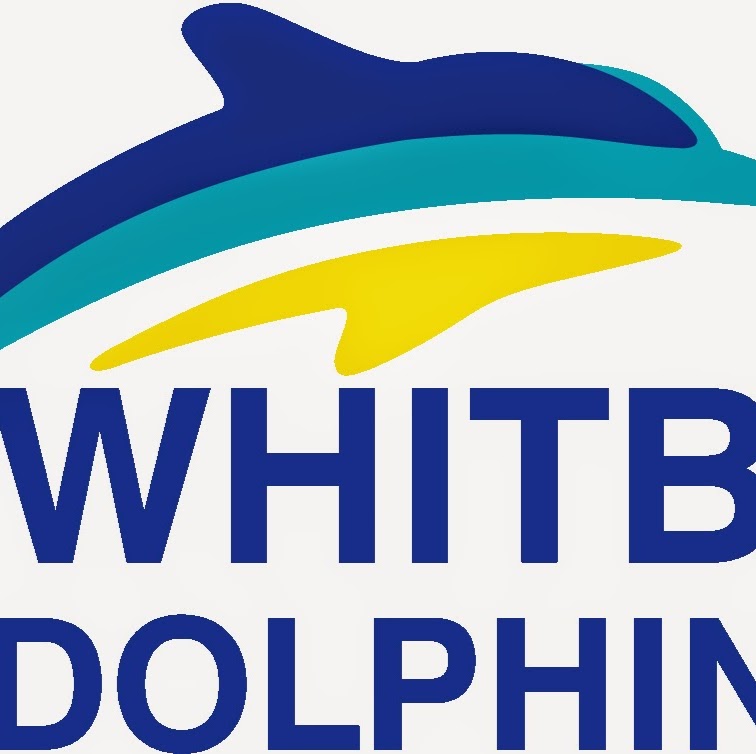 Whitby Dolphins | 500 Victoria St W, Whitby, ON L1N 9G4, Canada | Phone: (289) 638-2101