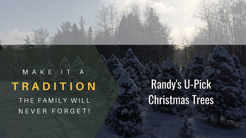 Randys U-Pick Christmas Trees | 148 Aylesford Rd, Springfield, NS B0R 1H0, Canada | Phone: (902) 547-2230