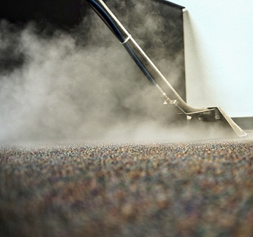 Elegance Carpet Cleaning | 51 Bayshore Dr, Nepean, ON K2B 6M7, Canada | Phone: (613) 854-0666