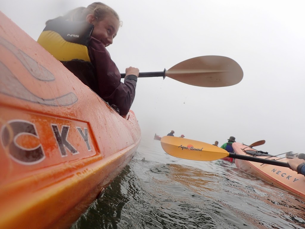 Kayak Fundy | FreshAir Adventure | 16 Fundy View Dr, Alma, NB E4H 1H6, Canada | Phone: (506) 887-2249