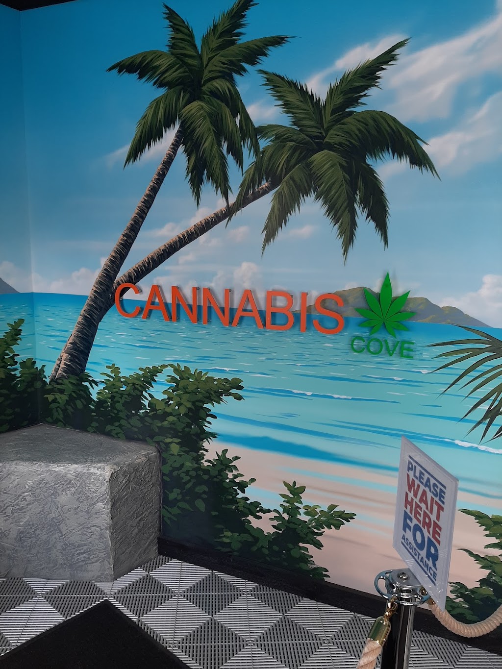 Cannabis Cove | 113 Main St, Wasaga Beach, ON L9Z 2K9, Canada | Phone: (705) 352-2283