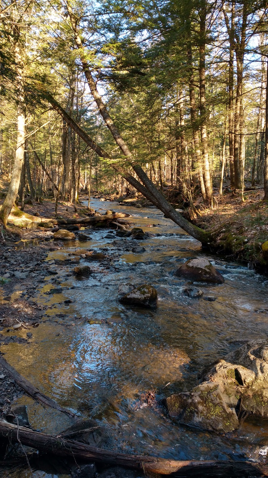 LArc-En-Ciel, Centre De Réalisation De Soi | 567 Chemin Mccullough, Sutton, QC J0E 2K0, Canada | Phone: (450) 538-0333