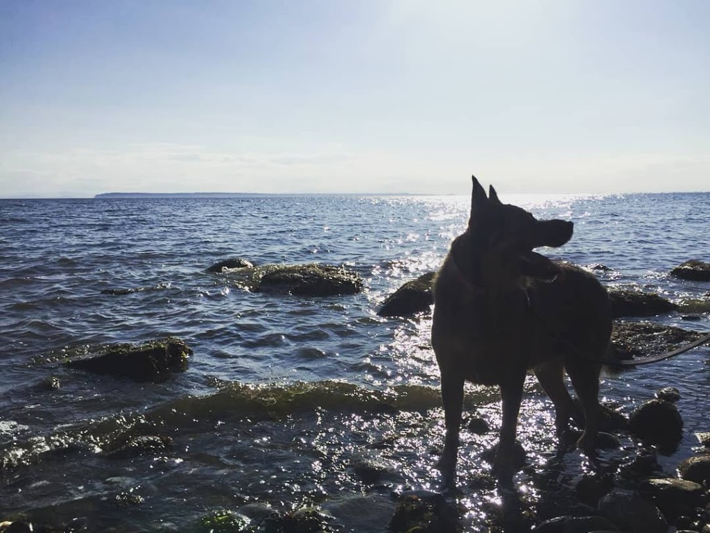 Dog Friendly Beachside Park | 15782 Marine Dr, White Rock, BC V4B 1E6, Canada